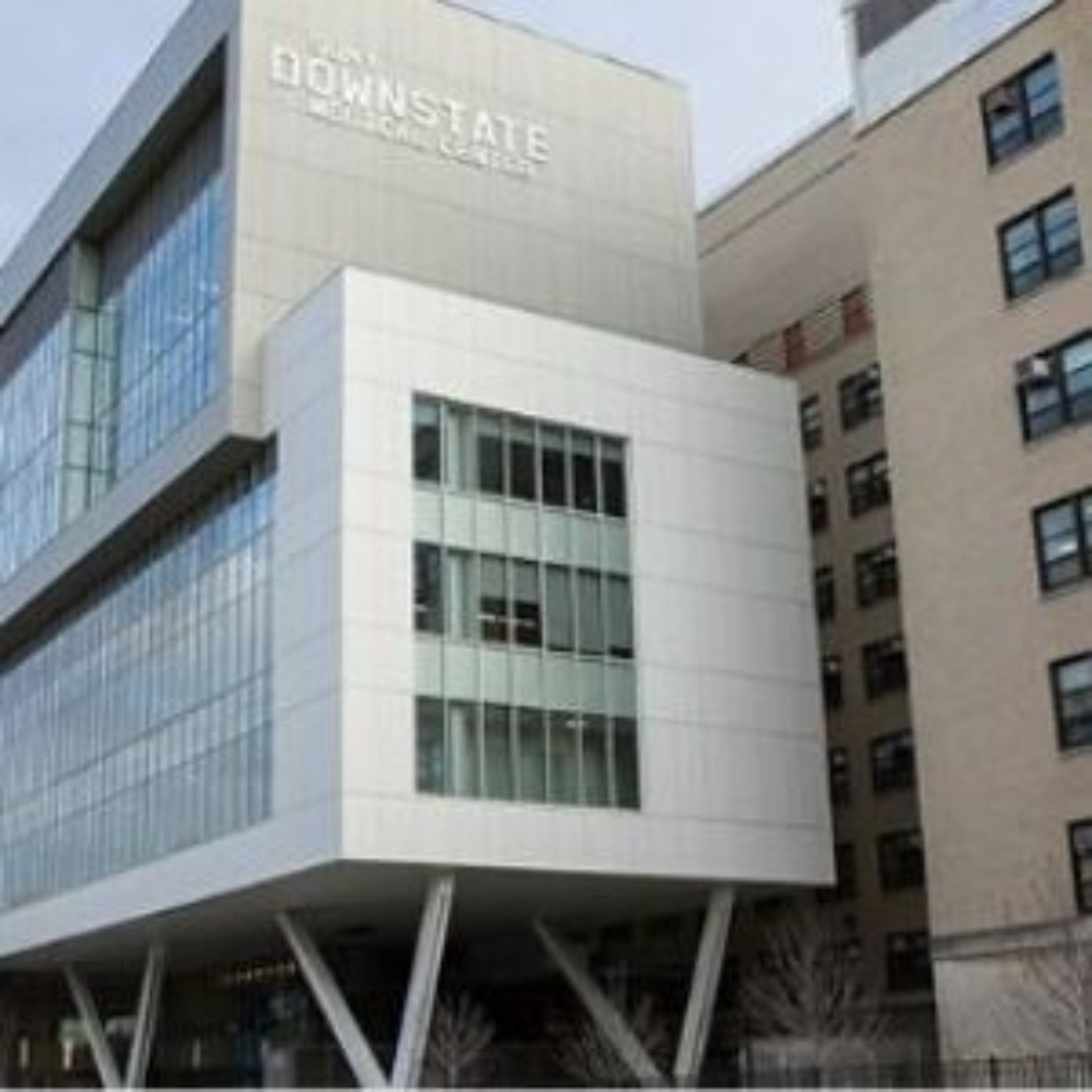 SUNY Downstate Health Sciences University - Neonatology Solutions